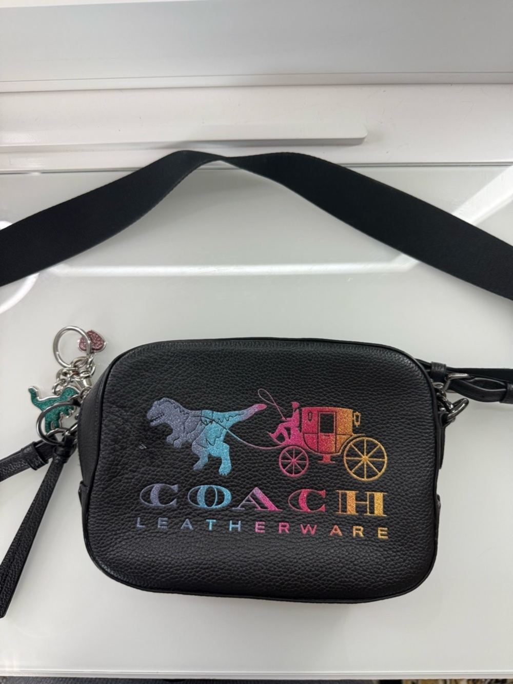 Coach Brown Textured Leather Crossbody Camera Bag